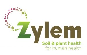 Zylem-Logo-cropped_13-feb-22-300x190