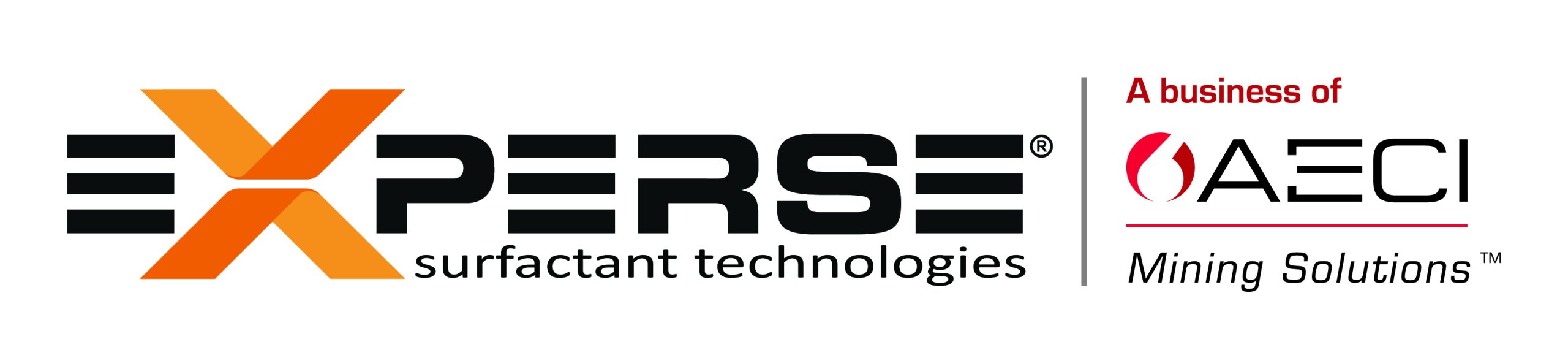 New-Experse-Logo_H_HR